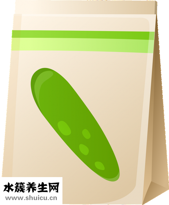 一条根怎么样