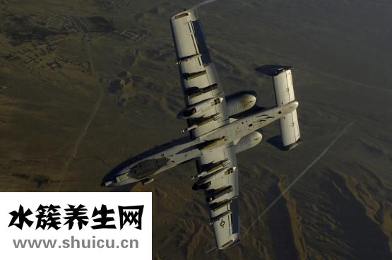 吃什么能增强性功能