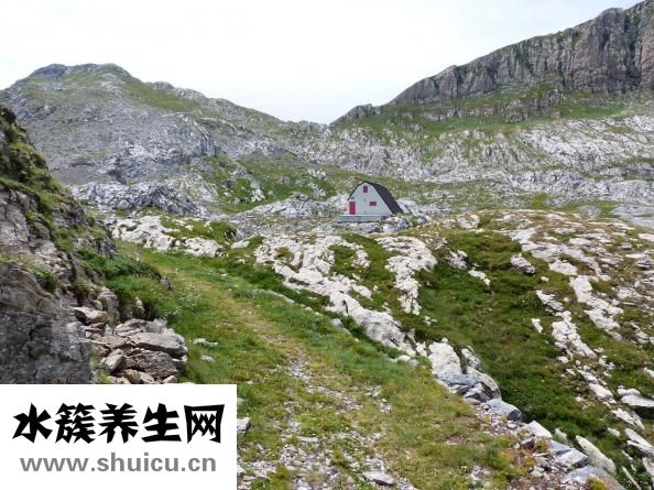 巧虎早教怎么样