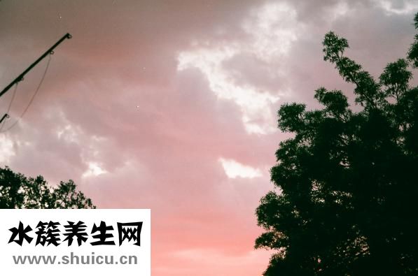 怎么样可以除口臭呀