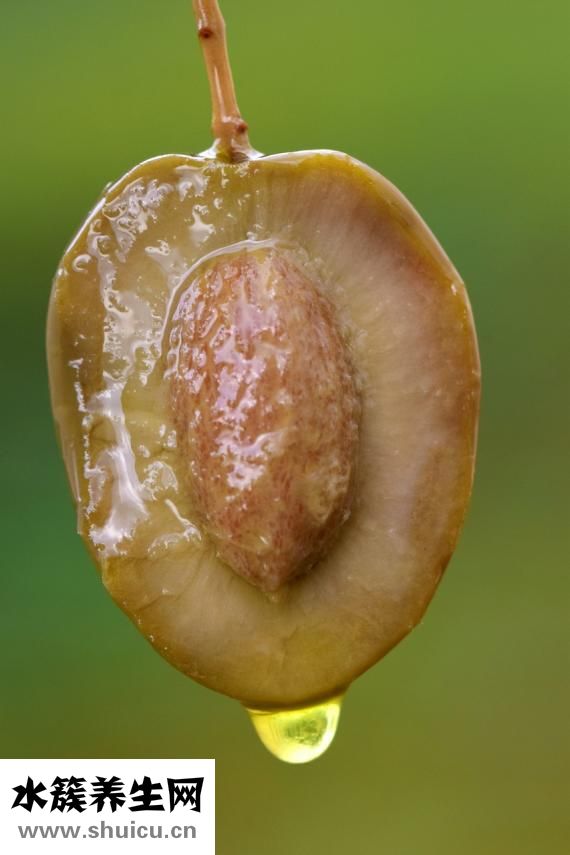 澳洲茶树油怎么样