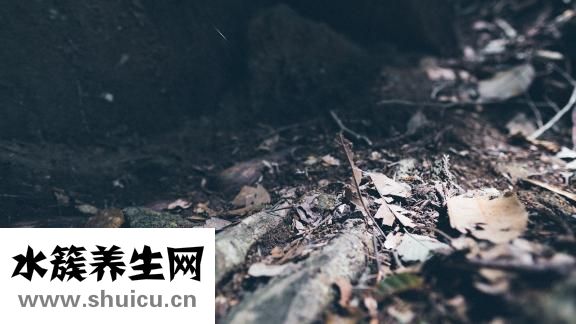 美的的油烟机怎么样