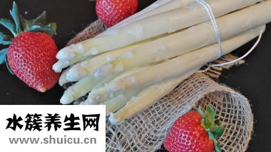 蘑菇是什么