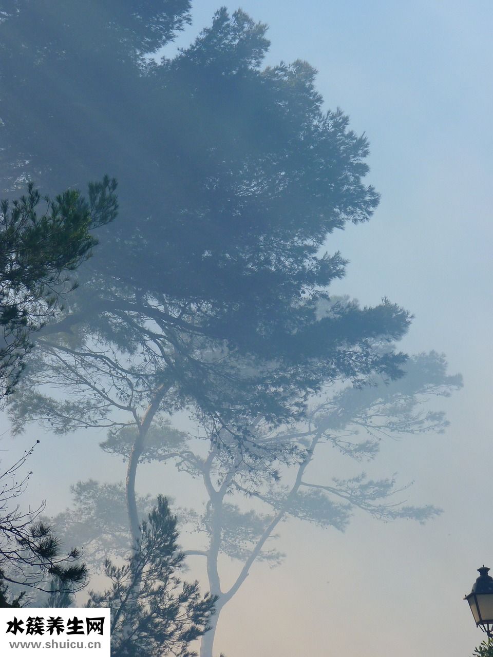 郁闷怎么办