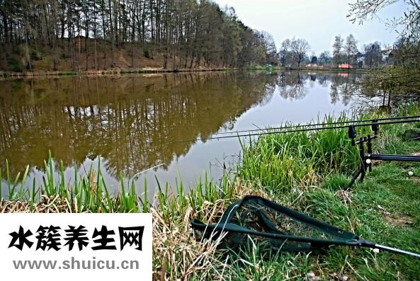 曹大农怎么样