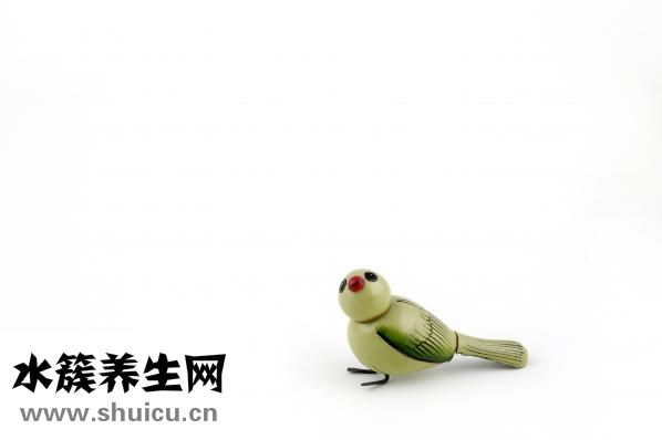 婴儿拉肚子怎么回事