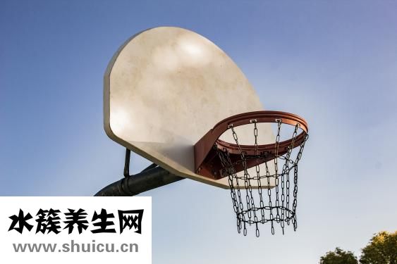 高端奶粉有哪些