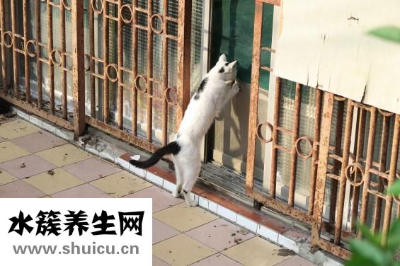 为什么会想一个人
