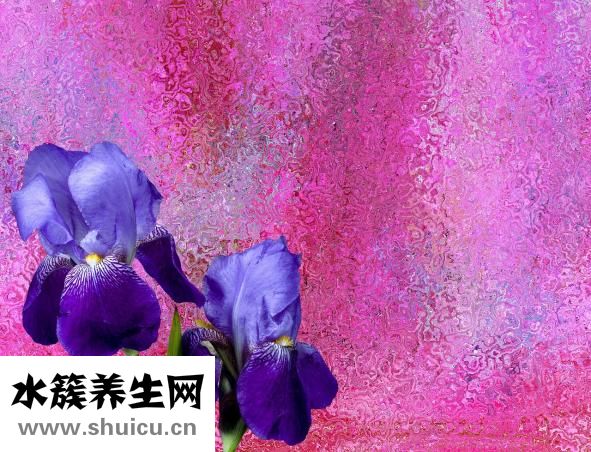 唇彩怎么用