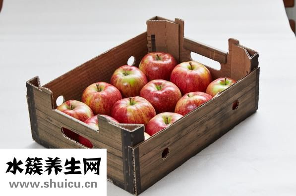 双子怎么打