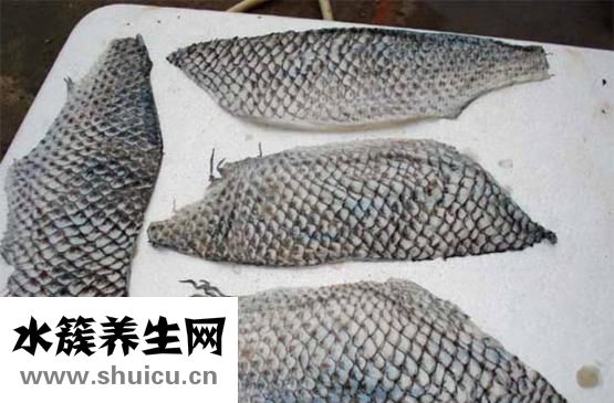 如何做糟鱼