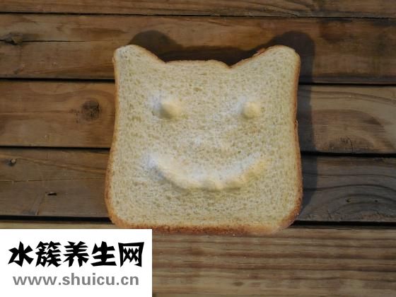 蘑菇是什么