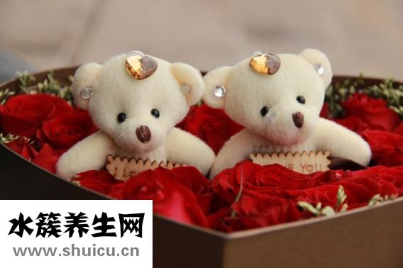 小熊煎药壶怎么样