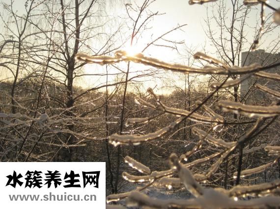 冻雨是什么
