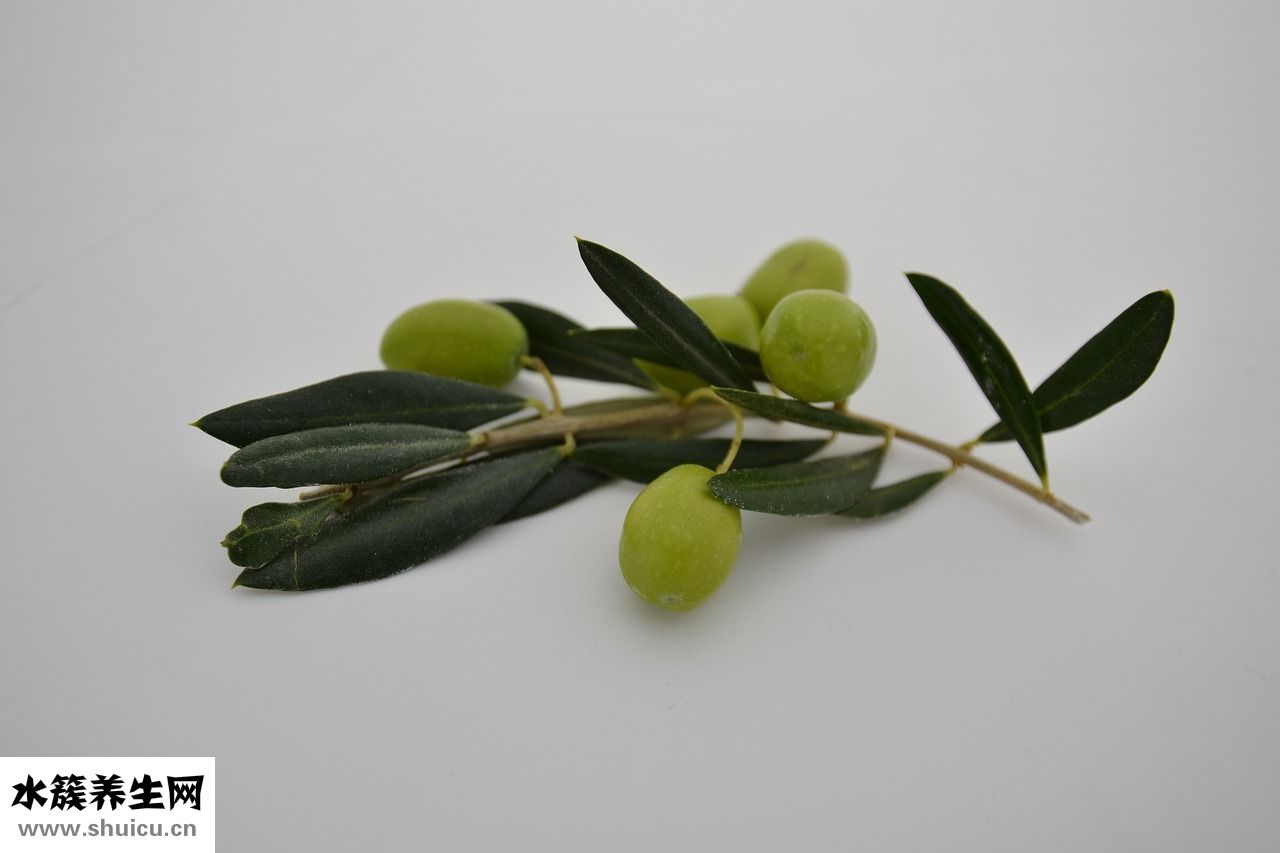甘道芯缓释茶怎么样