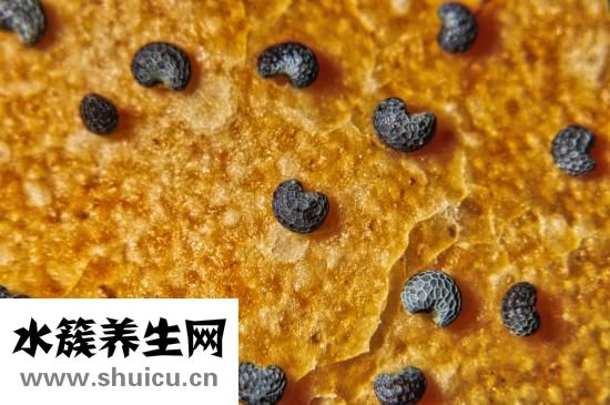 京萨祛疤怎么样