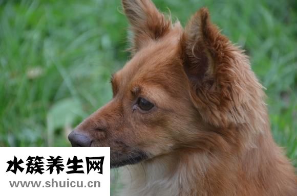 鬓角怎么留