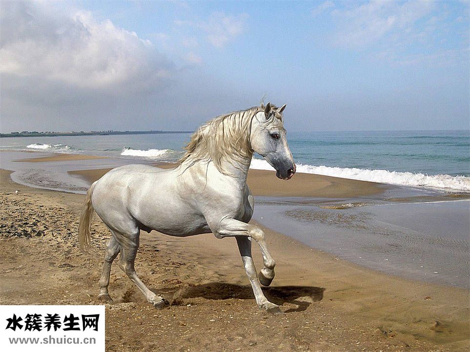 岚派皮衣怎么样