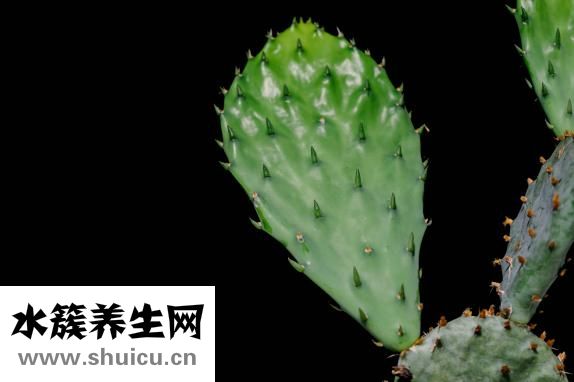 高尔夫球怎么打