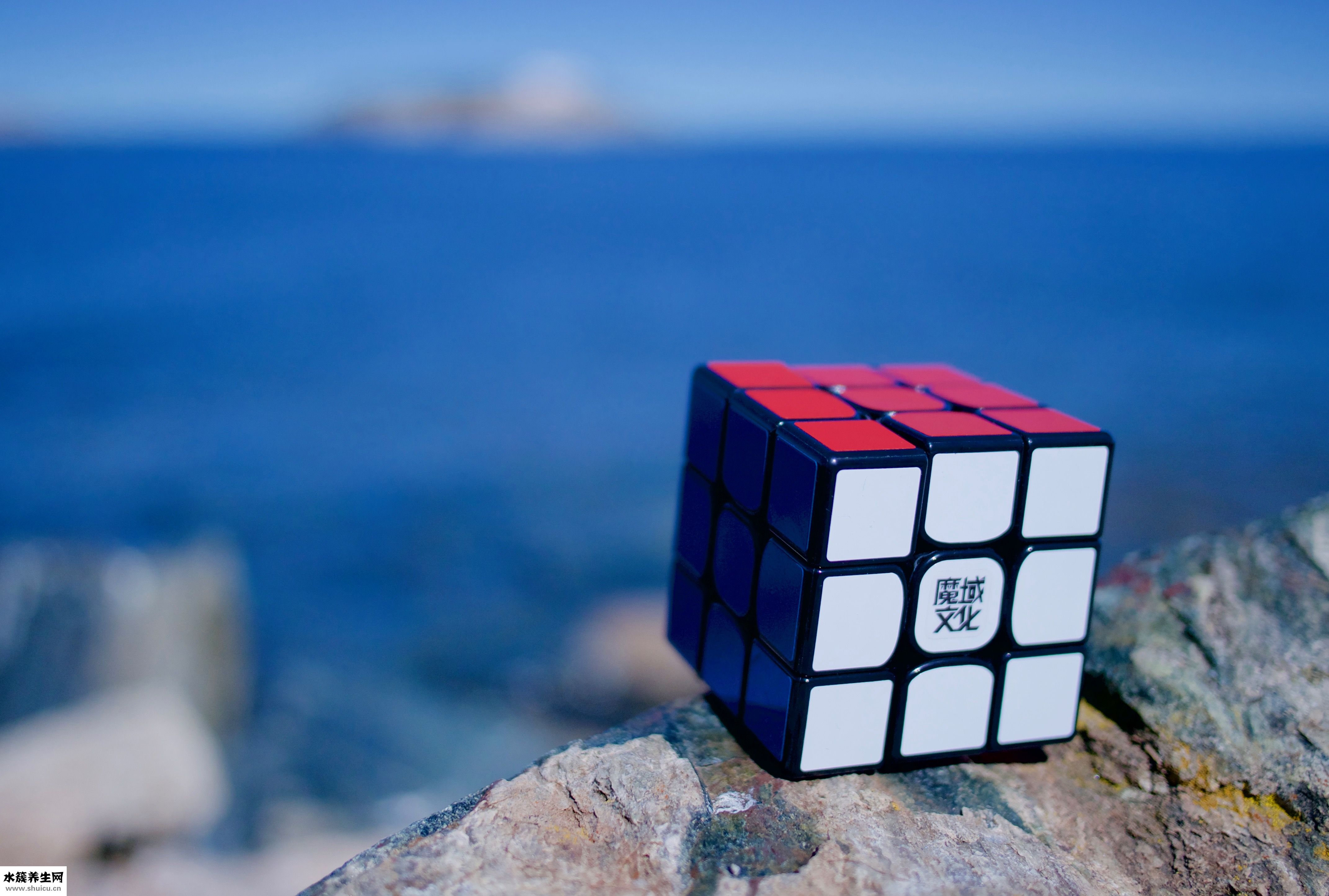 如何改善过敏体质