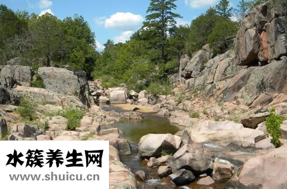 姚康寿怎么样