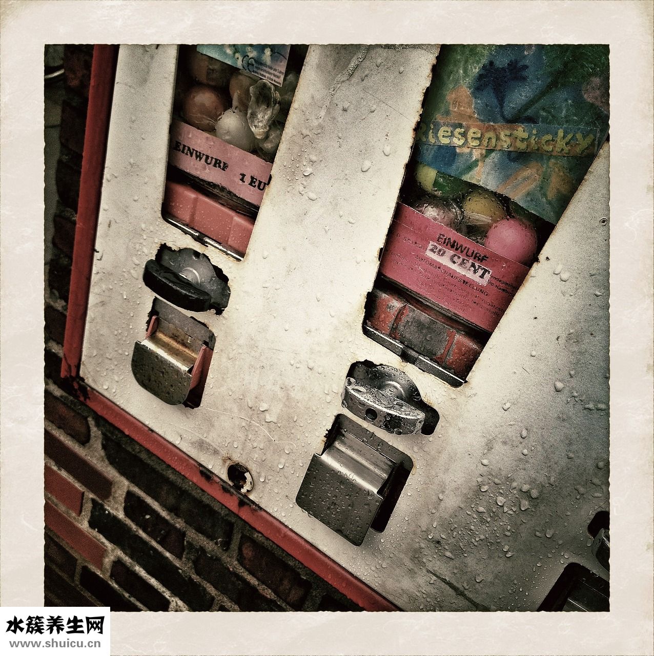 怎么能忘记