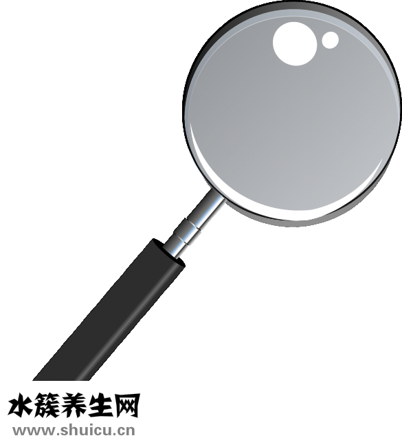灵芝糖浆效果怎么样