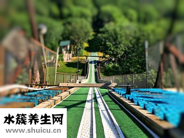 香碧姿怎么样