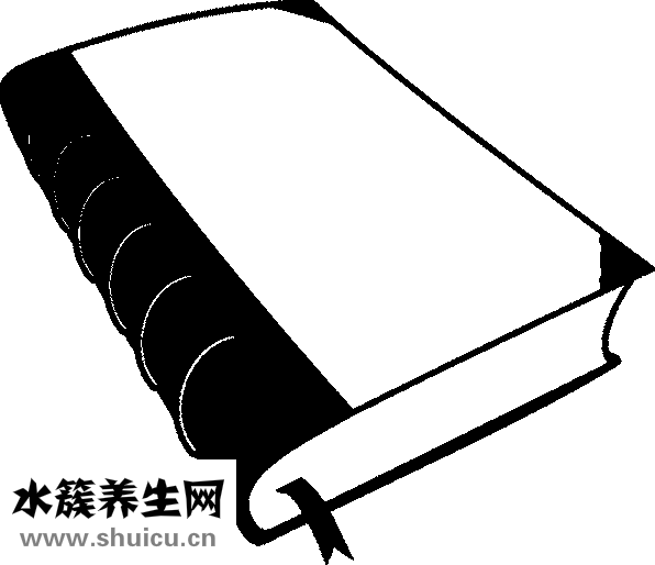如何开发儿童智力