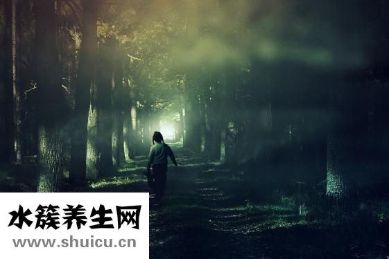 丞燕保健品怎么样