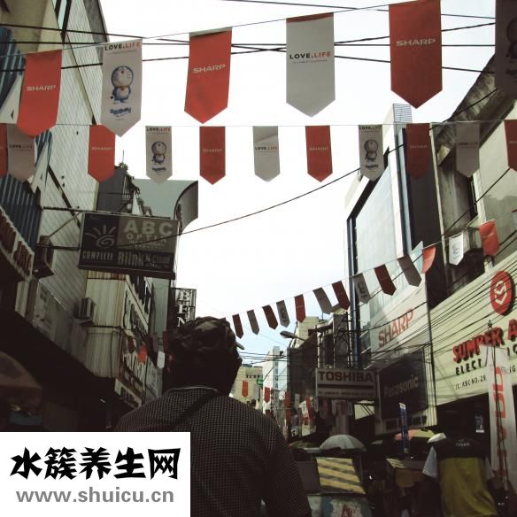 看病人送什么花好