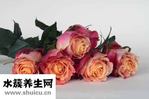 梅龙镇广场怎么样