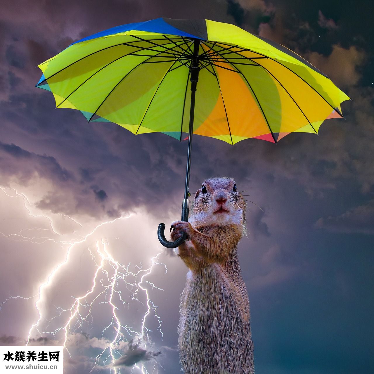 怎么能忘记