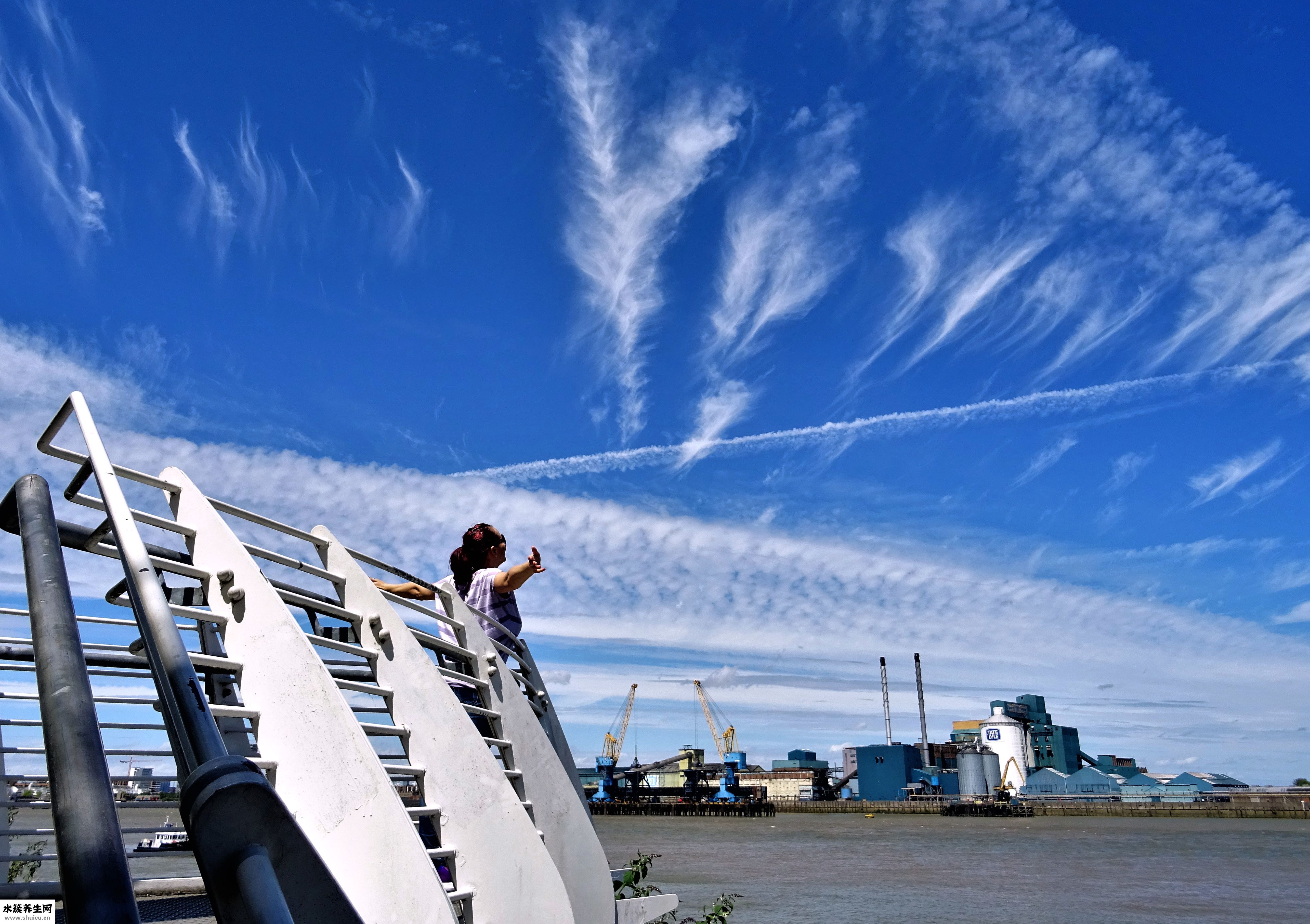 晚上失眠吃什么