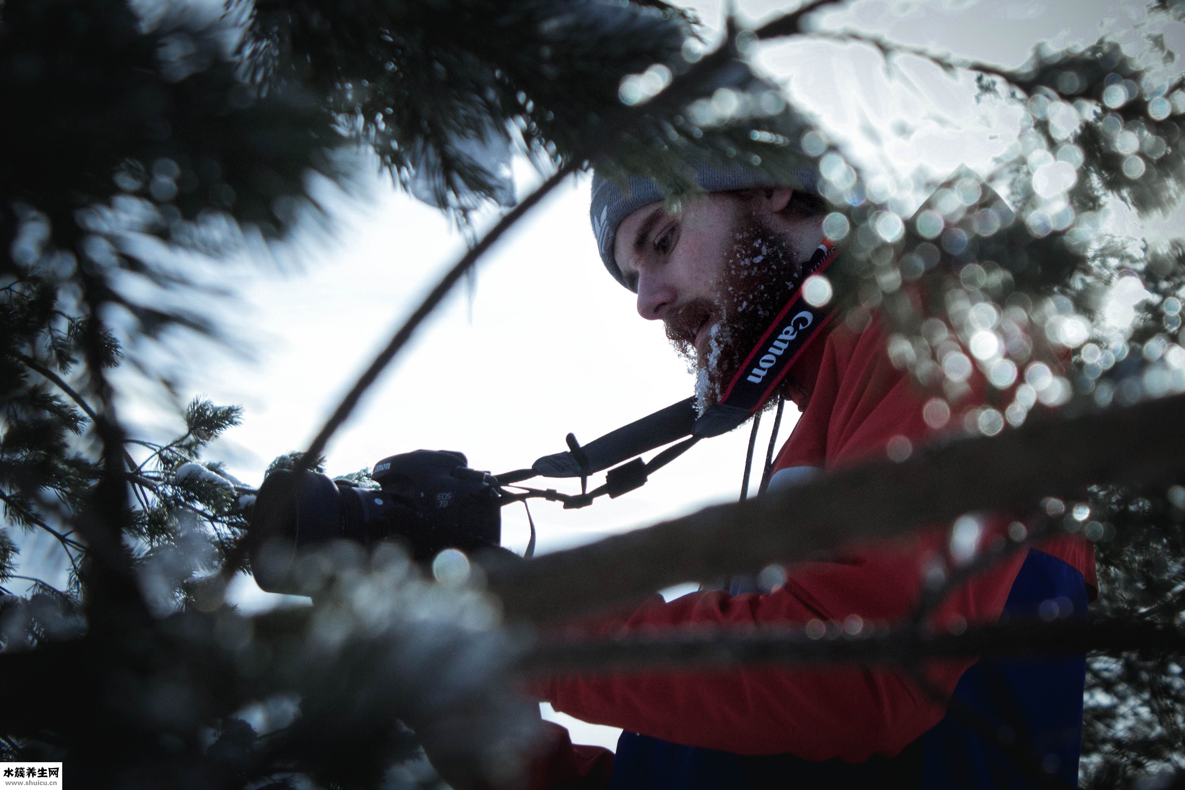 帕金森是什么病