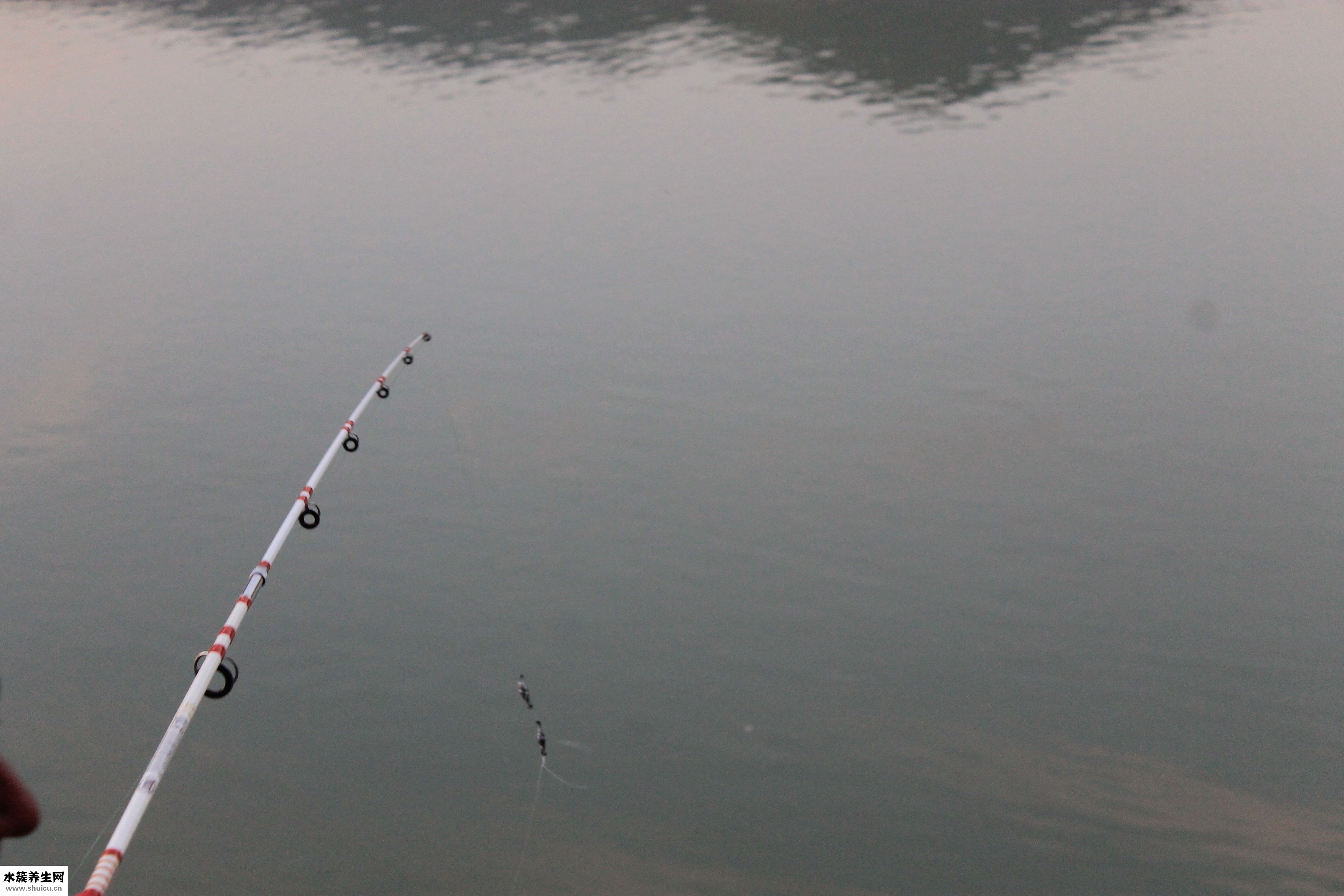 雨天钓鱼怎么样