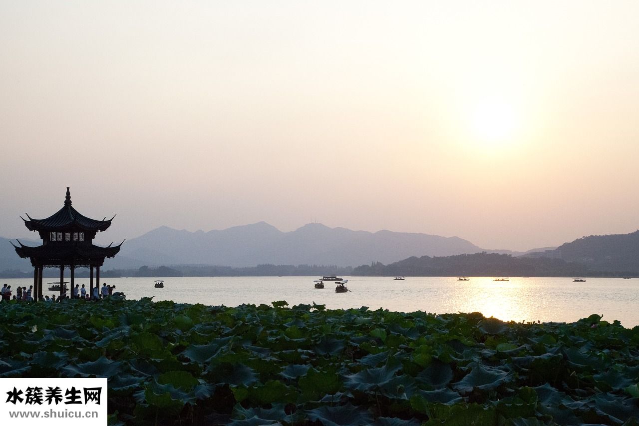 地摊茶叶质量怎么样