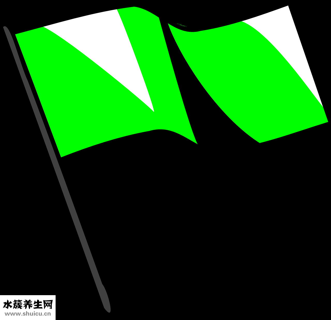 怎么样运动瘦小腿