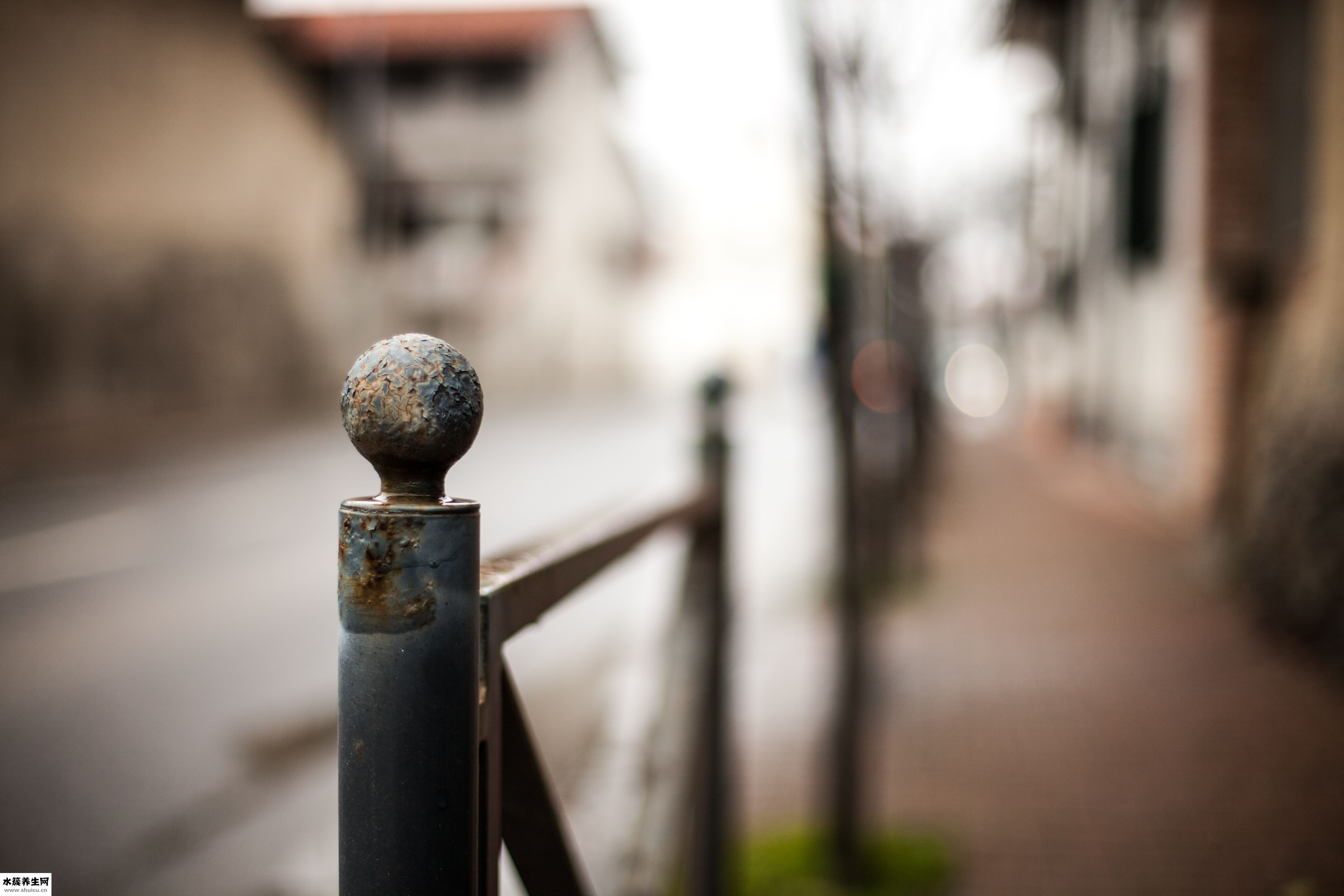 白癫疯会怎么样