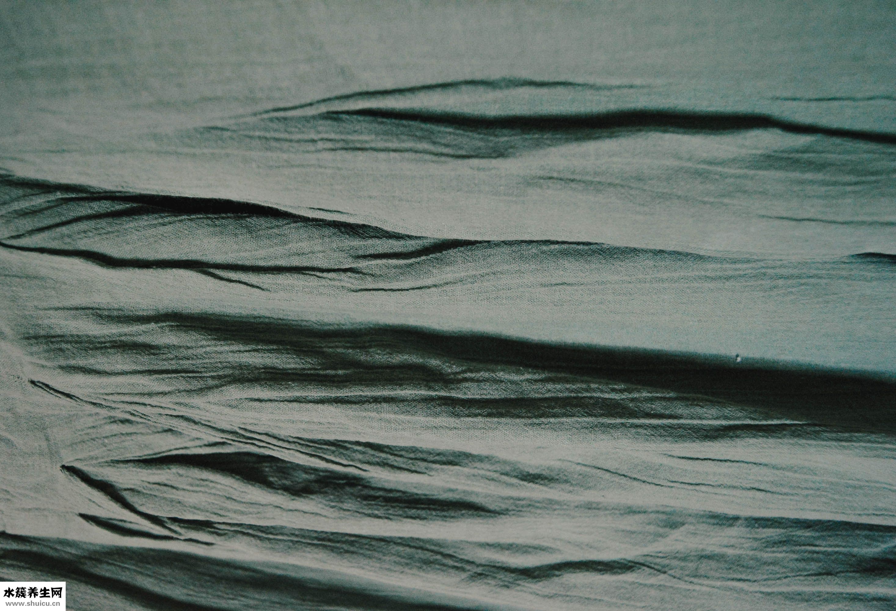 猪肉怎么看坏没坏