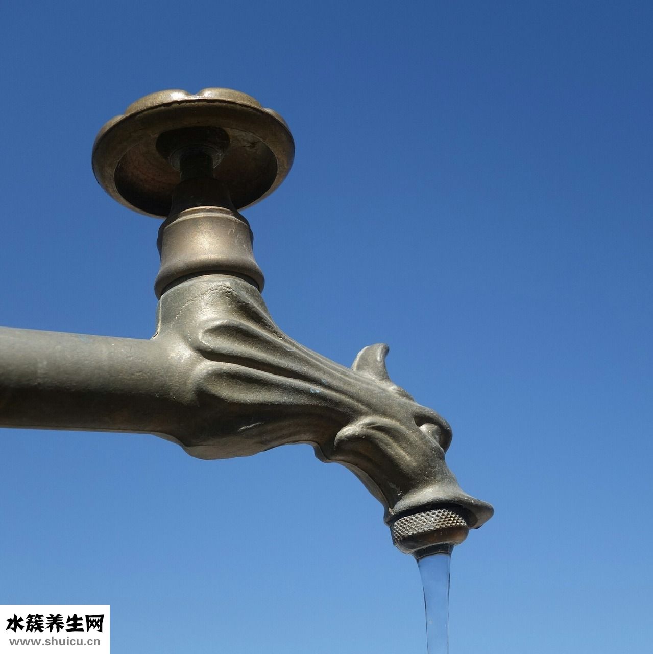 发烧鸡蛋清怎么降温