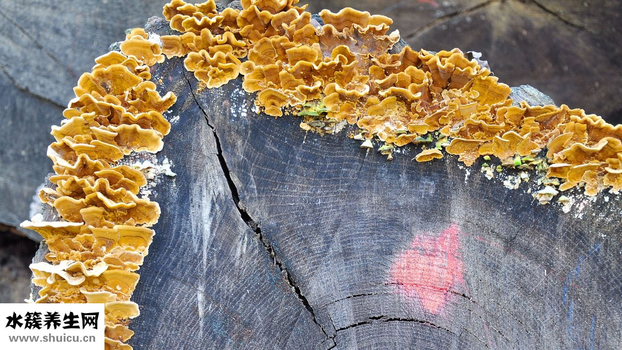 花斑癣怎么才算好