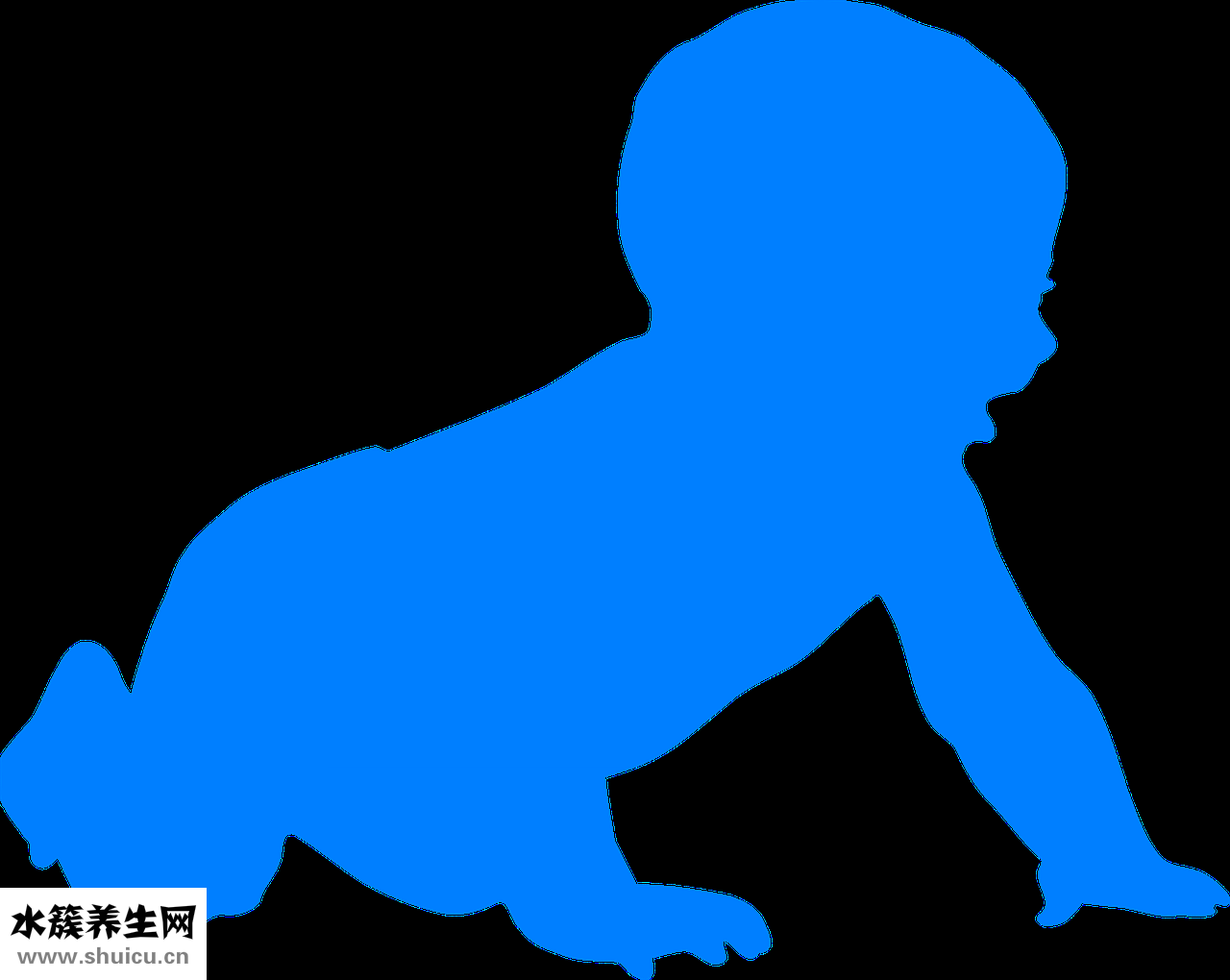 仓鼠怎么喂麦片
