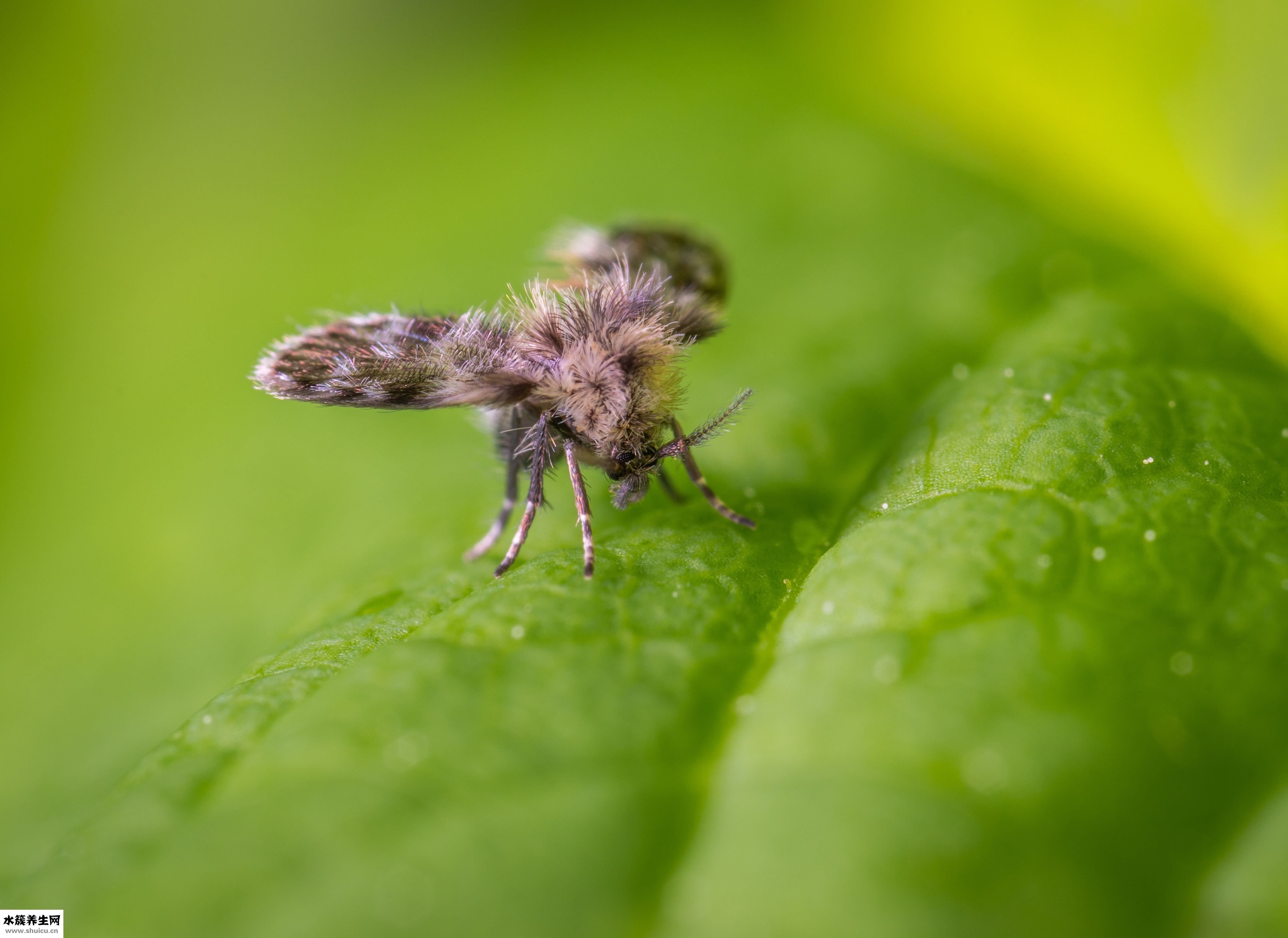 小腿发木是怎么回事