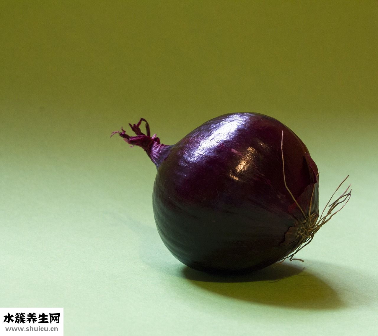 干煸鱿鱼须怎么做