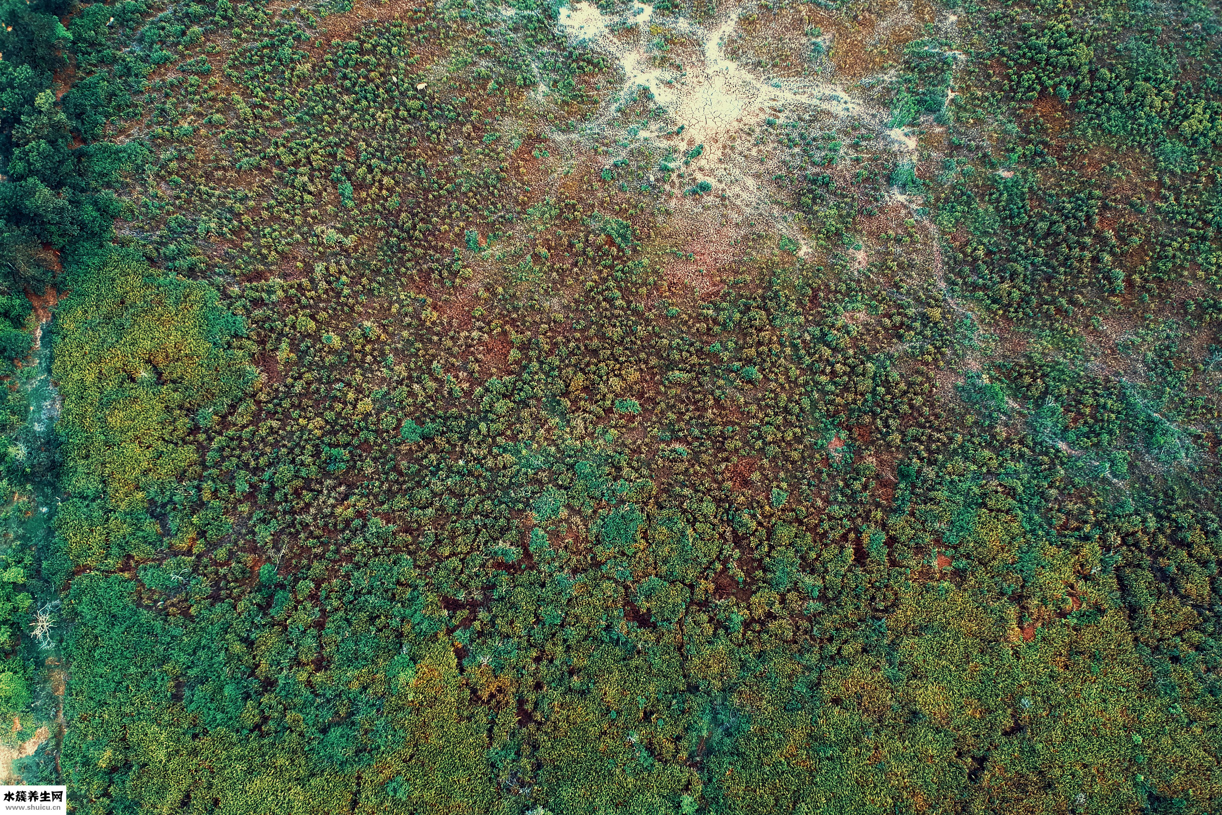 衣服手洗怎么干