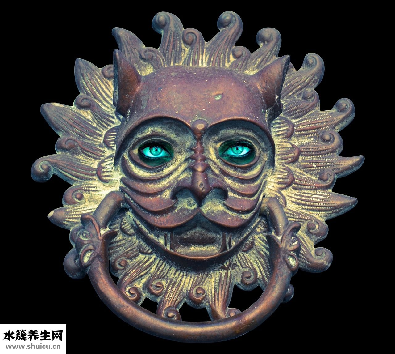 小狗耳朵进水怎么办