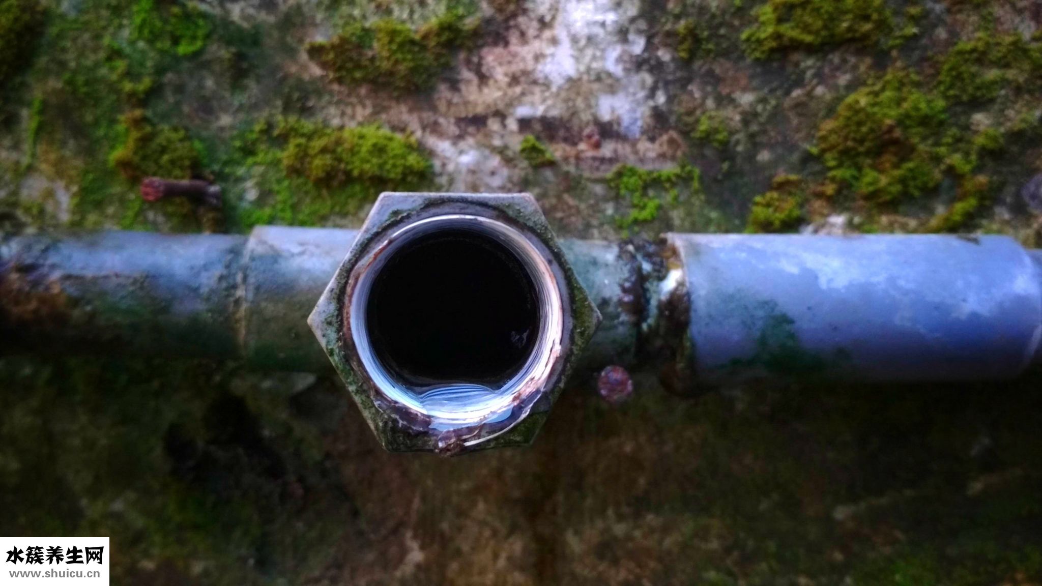 怎么能让指甲变长