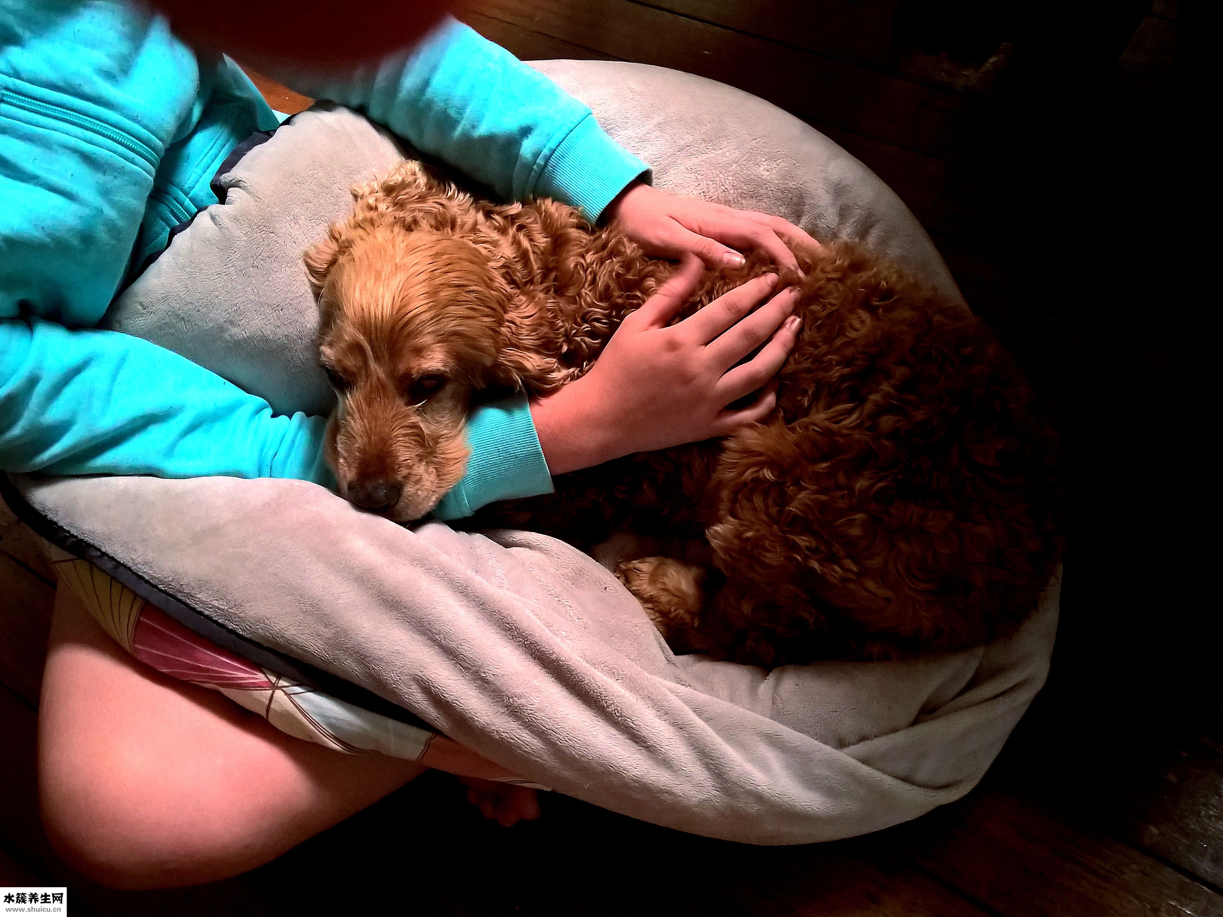 大腿外侧怎么减肥