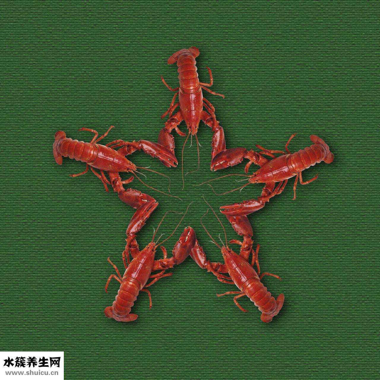 虾仁涨蛋怎么做